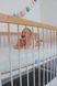 Ортопедичний матрац Family Sleep Miracle 160x190 см 740 фото 4