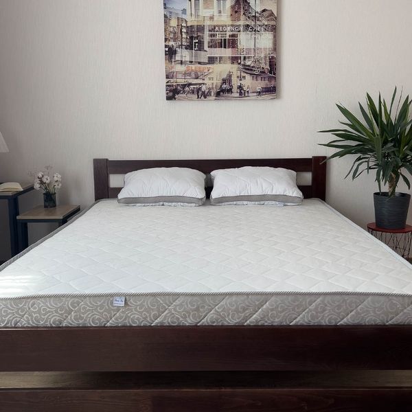 Ортопедичний матрац Family Sleep Land United 150x200 см 12469 фото