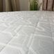 Ортопедичний матрац Family Sleep Euphoria Demure 150x190 см 12153 фото 16