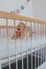 Ортопедичний матрац Family Sleep Limerence 80x200 см 743 фото 5